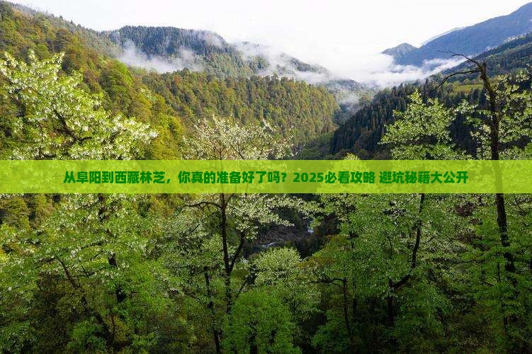 阜阳到西藏林芝攻略