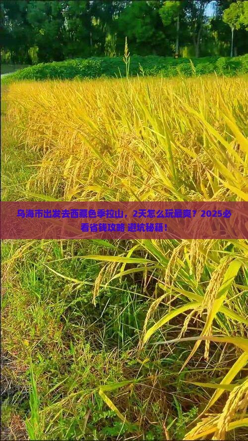 乌海市到西藏色季拉山二日游