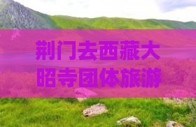 荆门去西藏大昭寺团体旅游