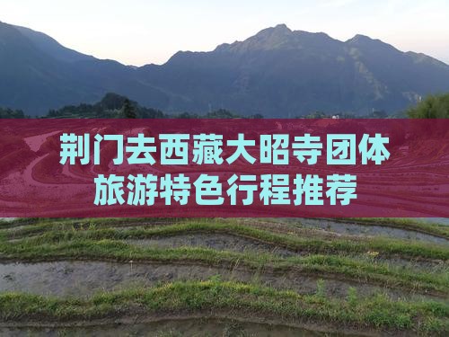 荆门去西藏大昭寺团体旅游