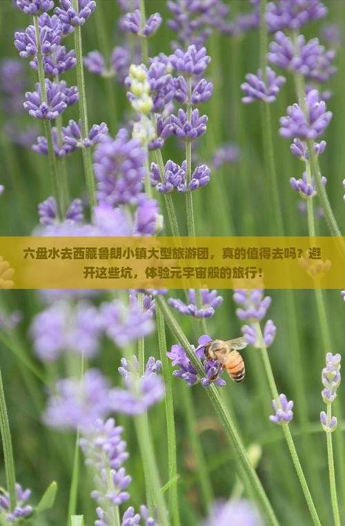 六盘水去西藏鲁朗小镇大型旅游团