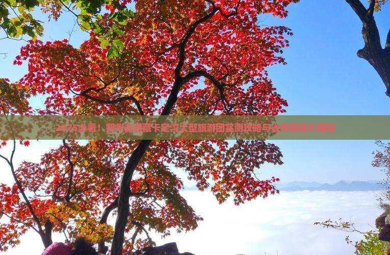 朔州去西藏卡定沟大型旅游团 朔州去西藏卡定沟大型旅游团