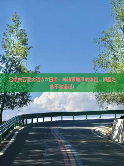 吕梁去西藏大昭寺六日游