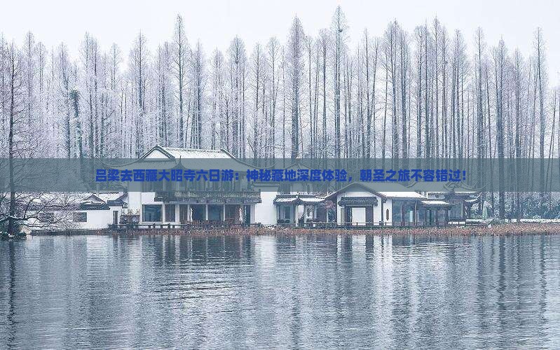 吕梁去西藏大昭寺六日游