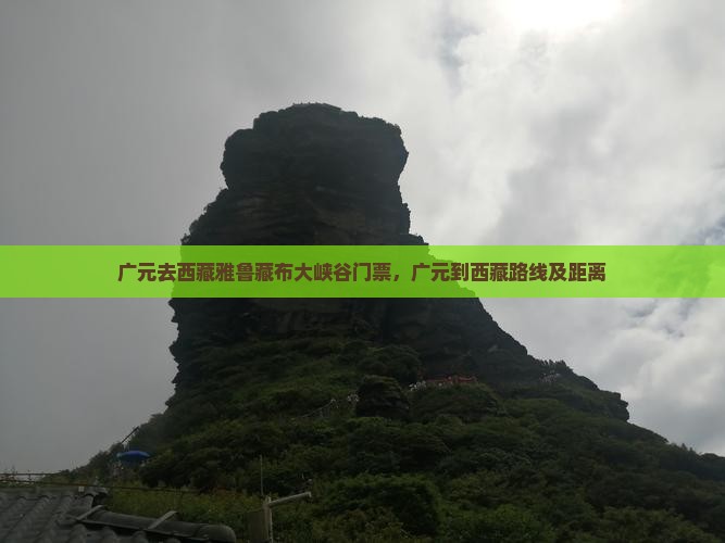 广元去西藏雅鲁藏布大峡谷门票