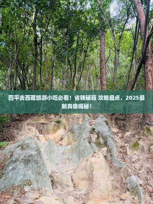 四平去西藏旅游小吃
