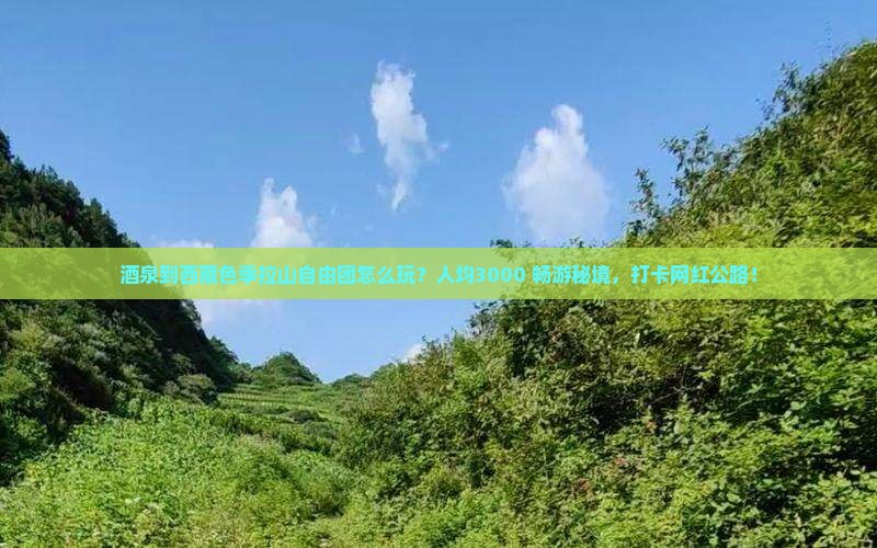 酒泉到西藏色季拉山自由团