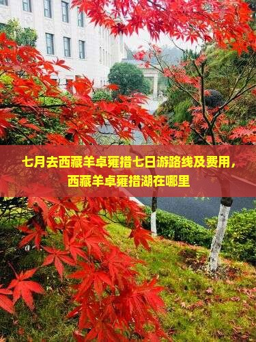 七月去西藏羊卓雍措七日游 七月去西藏羊卓雍措七日游