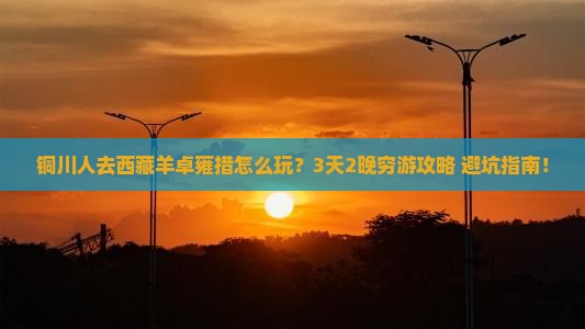 铜川去西藏羊卓雍措旅行社