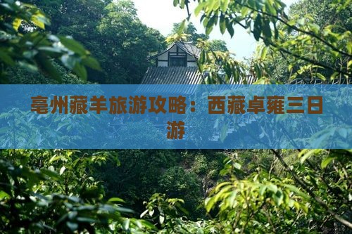 亳州去西藏羊卓雍措三日游