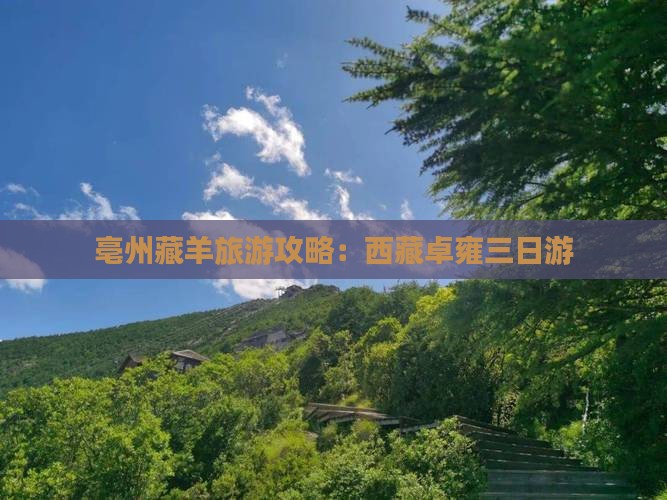 亳州去西藏羊卓雍措三日游