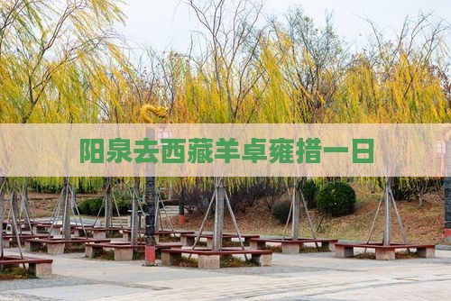 阳泉去西藏羊卓雍措一日