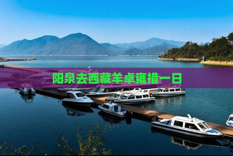 阳泉去西藏羊卓雍措一日