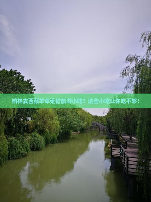 榆林去西藏羊卓雍措旅游小吃