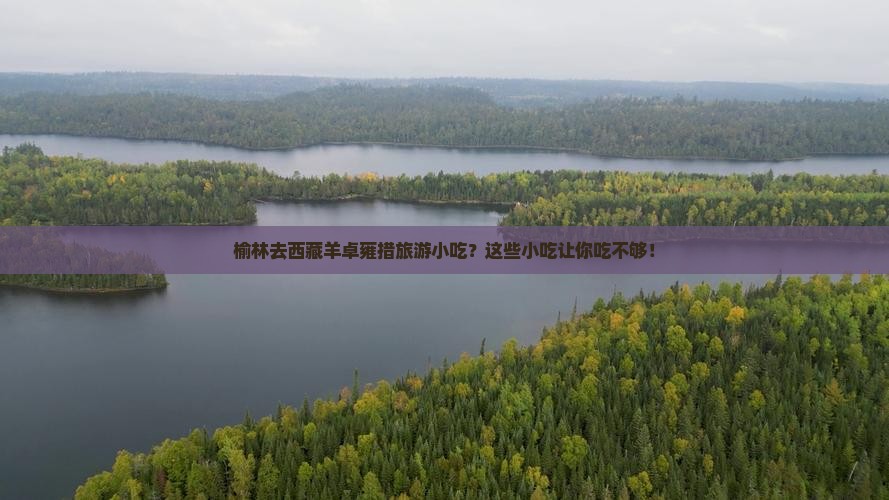 榆林去西藏羊卓雍措旅游小吃