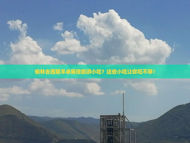 榆林去西藏羊卓雍措旅游小吃