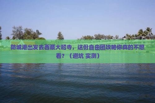防城港去西藏大昭寺自由团