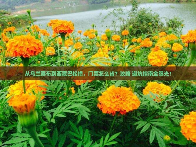 乌兰察布到西藏巴松措门票