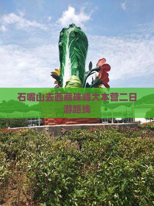 石嘴山去西藏珠峰大本营二日游