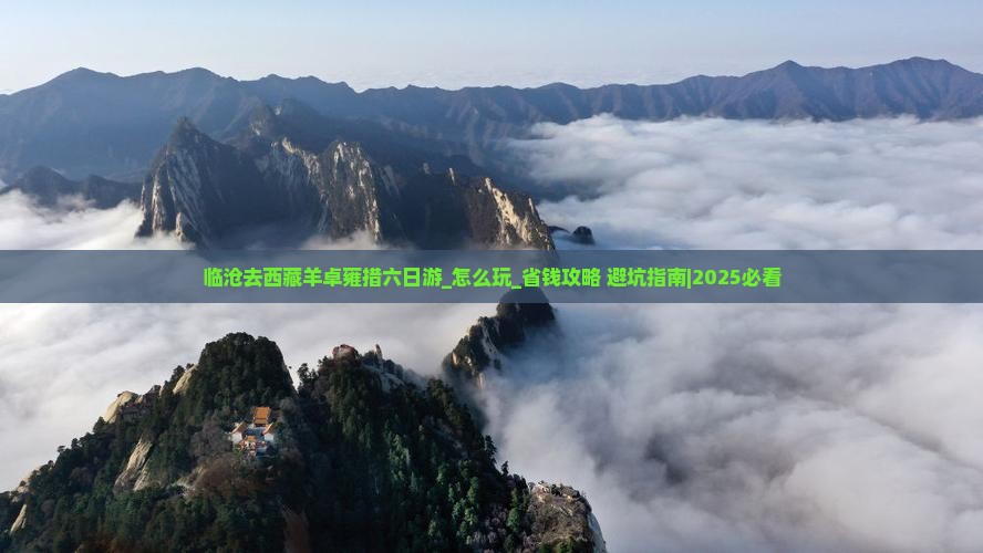 临沧去西藏羊卓雍措六日游