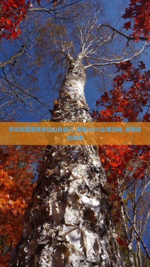 怀化到西藏色季拉山自由行