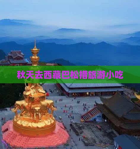 秋天去西藏巴松措旅游小吃