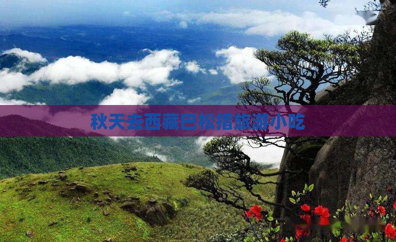 秋天去西藏巴松措旅游小吃