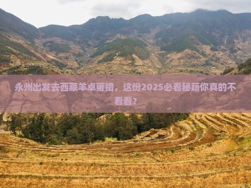 永州去西藏羊卓雍措必去地