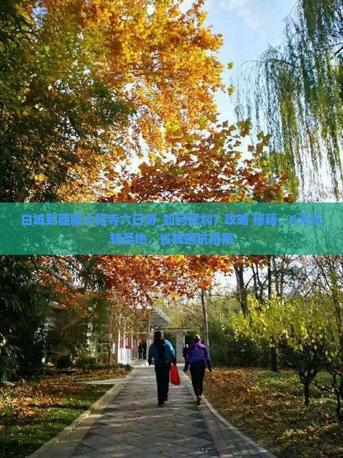 白城到西藏大昭寺六日游