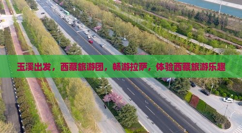 玉溪去西藏拉萨大型旅游团
