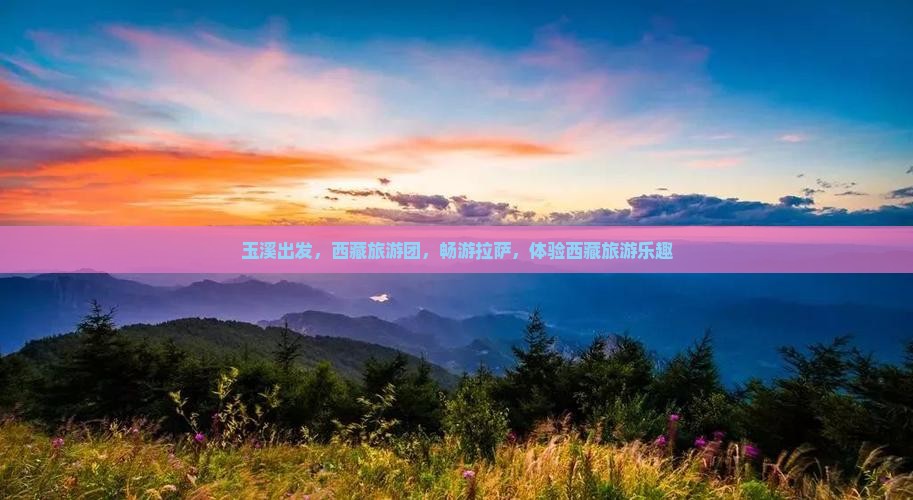 玉溪去西藏拉萨大型旅游团