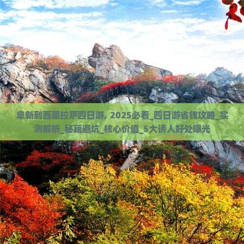 阜新到西藏拉萨四日游