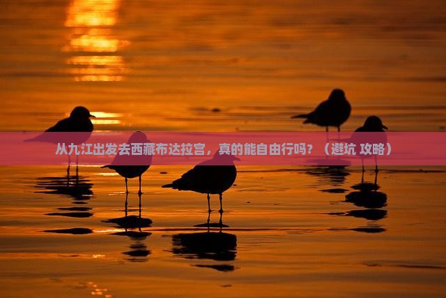 九江去西藏布达拉宫自由行 九江去西藏布达拉宫自由行