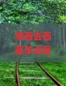 湘西去西藏羊卓雍措哪里玩