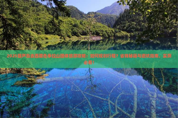 葫芦岛去西藏色季拉山团体旅游