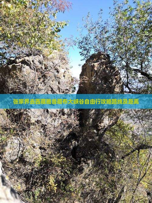 张家界去西藏雅鲁藏布大峡谷自由行