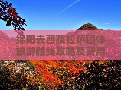绵阳去西藏拉萨团体旅游