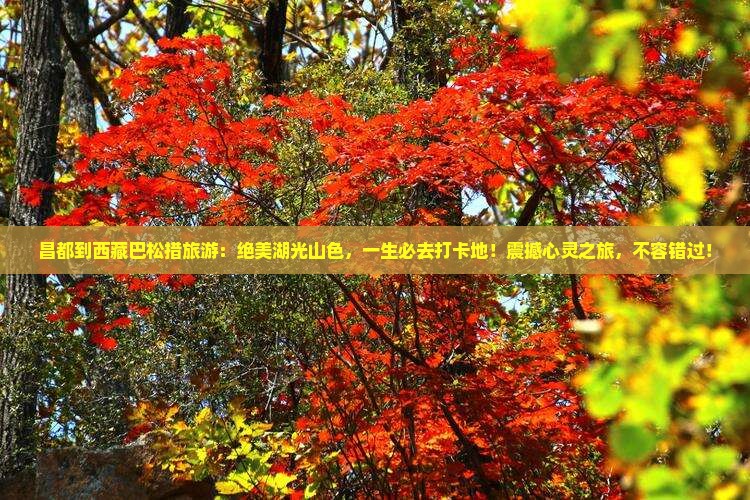 昌都到西藏巴松措旅游