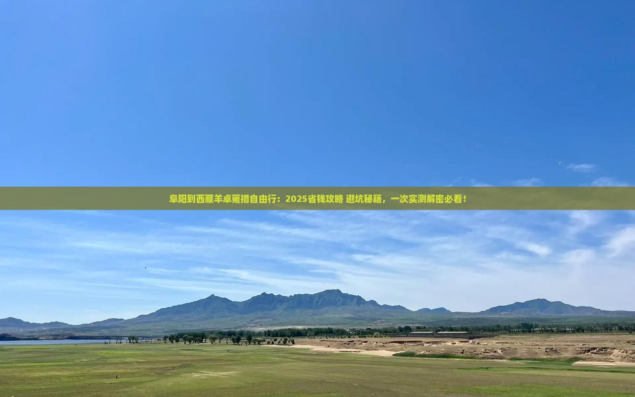 阜阳到西藏羊卓雍措自由行