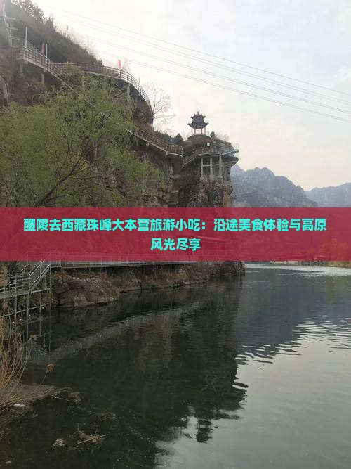 醴陵去西藏珠峰大本营旅游小吃