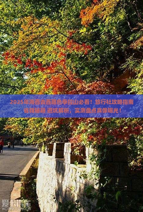 海西去西藏色季拉山旅行社