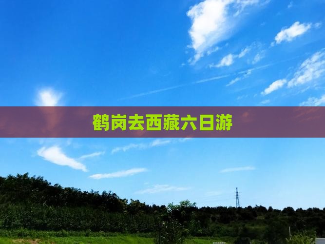 鹤岗去西藏六日游