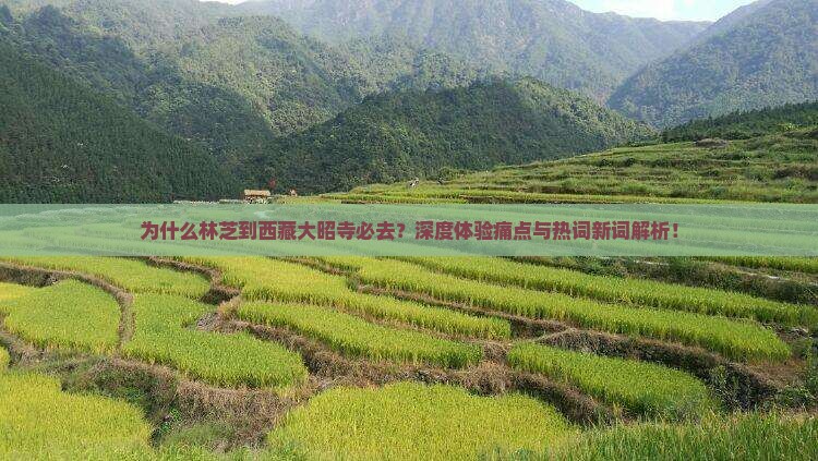 林芝到西藏大昭寺必去地