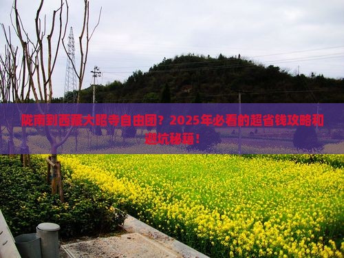 陇南到西藏大昭寺自由团