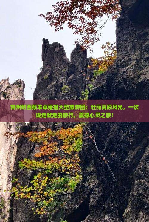 常州到西藏羊卓雍措大型旅游团