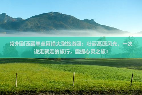 常州到西藏羊卓雍措大型旅游团