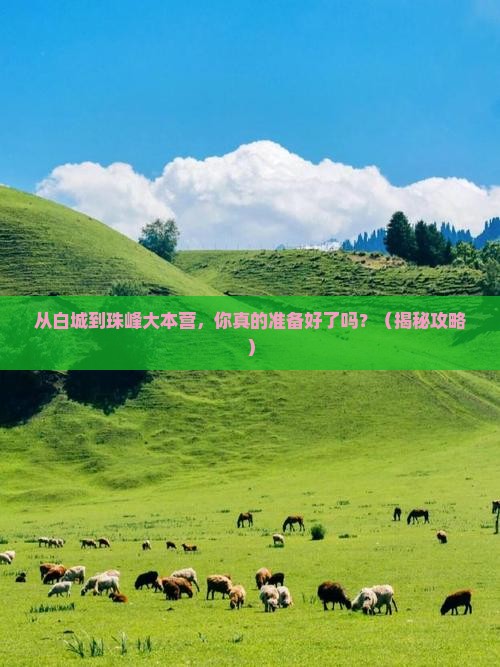 白城到西藏珠峰大本营自由行