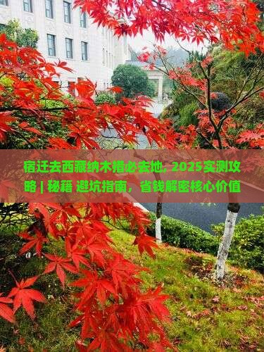 宿迁去西藏纳木措必去地