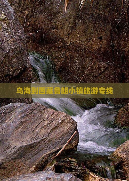 乌海市到西藏鲁朗小镇旅行社
