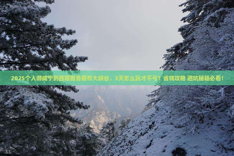 咸宁到西藏雅鲁藏布大峡谷个人游